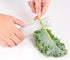 Herb Stripper Stainless Steel Kitchen Herb Leaf Stripping Tool Metal Herb Pealer LooseLeaf Kale Razor for Kale, Chard, Collard Greens, Thyme, Basi...