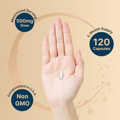 NatureBell Citicoline Supplements, CDP Choline, Citicoline 500mg Plus Tyrosine 50mg Per Serving, Optimized Dosage, 120 Capsules, 2 in 1 Formula, D...