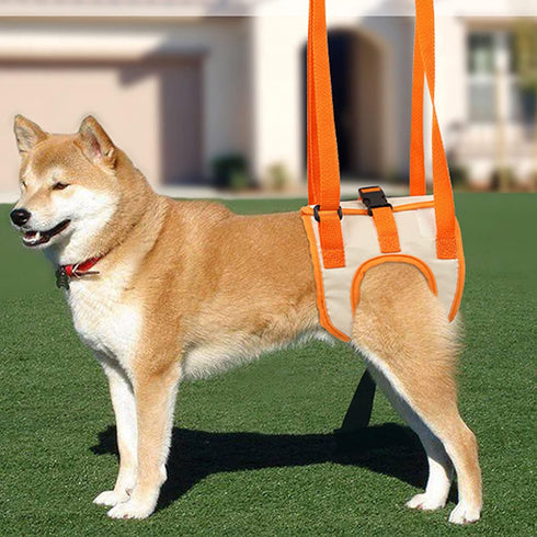 Dog Sling for Back Legs, Dog Hind Leg Auxiliary Belt Adjustable Sling for Small Medium Large Dog (S)...
