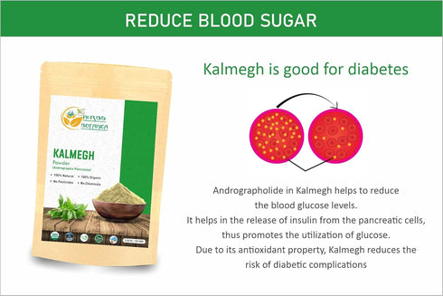 Organic Kalmegh Powder Andrographis Paniculata Green Chiretta | Immune Health | Help Detoxify Liver | Bitters Herb for Health and Respiratory Supp...