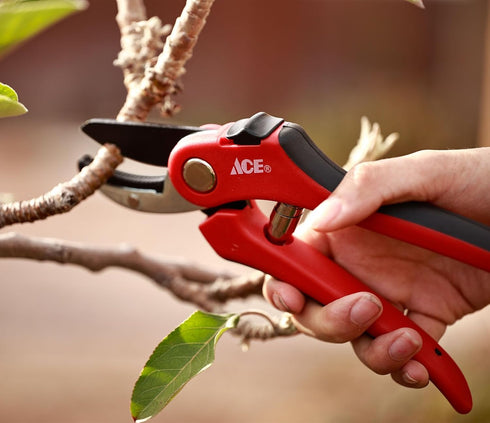 Professional Premium Pruning Shears, Hand Pruners, Garden Clippers...