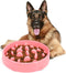 JASGOOD Slow Dog Bowl for Large Dogs,Fun Bowl Slow Feeder,Anti-Gulping Dog Slow Feeder Stop Bloat,Slow Eating Big Pet Bowl...