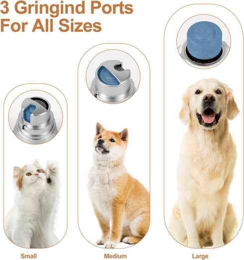 Dog Clippers Grooming Kit Hair Clippers with Nail Grinder Set 4 in 1, Cordless Electric Trimmer- Low Noise Paw Trimmer-USB Rechargeable Quiet Nail...