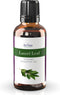 ArOmis Laurel Leaf (Bay Laurel) Essential Oil - 100% Pure & Undiluted for Aromatherapy & Diffusers - 30ml (1 Fl oz...