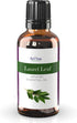 ArOmis Laurel Leaf (Bay Laurel) Essential Oil - 100% Pure & Undiluted for Aromatherapy & Diffusers - 30ml (1 Fl oz...