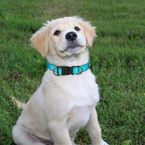 Dog Collar and Leash Set, Reflective Dog Collar Heavy Duty Dog Leash, Adjustable Soft Neoprene Padded Nylon Pet Collars, Comfortable Padded Handle...