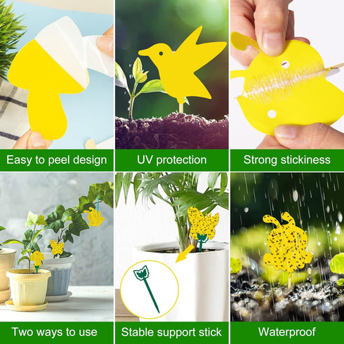 Stingmon 96 Pack Fruit Fly Trap for Indoors, Gnat Traps for House Indoor, Fungus Gnat Killer Indoor & Outdoor Sticky Traps for Plants, Mosquitoes,...