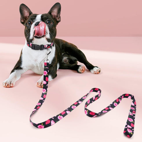 5 ft/Foot Black Dog Leash for Girl Medium Breed Dogs...