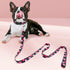 Black Dog Leash Floral Dog Leash for Puppy,Small Breed Dogs 4 ft/foot Dog Leash...