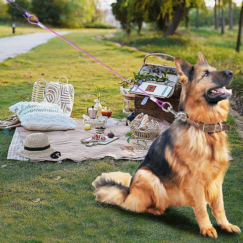 Chew Proof Dog Leash Extension,Support add to Any Leash & Collar & Harness,Dog Lead Extender for Large and Medium Dogs Walking Running and Trainin...