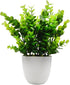 OFFIDIX Mini Artificial Eucalyptus Plants with Vase for Office Desk,Fake Plant with Plastic Pots for Home,Shower Room Decoration (Green)...