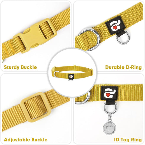 azuza Nylon Fall Dog Collar and Leash Set, Strong & Durable Basic Style Leash with Easy to Use Collar Hook, Available in Multiple Lengths for Pupp...