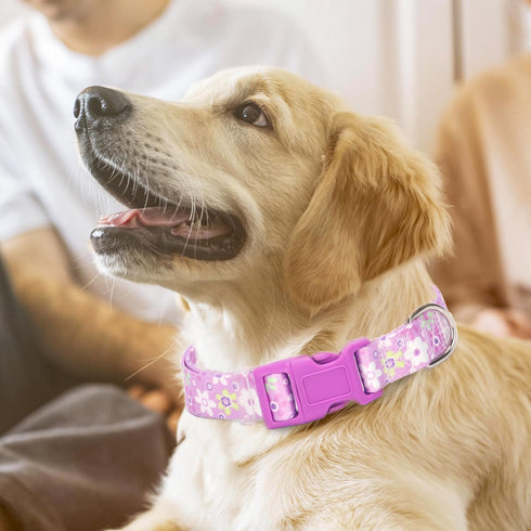 Girl Dog Collar with Purple Floral Patterns, Adjustable Cute Soft Pet Collar with Quick Release Buckle for Small Medium Large XL Dogs (Purple Flow...