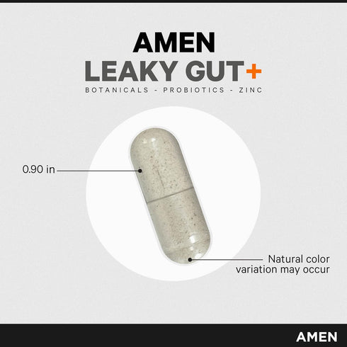 Amen Leaky Gut Supplement - Advanced Formula with Bioavailable L Glutamine, Zinc, Turmeric, DGL Licorice Root - Marshmallow Root - Probiotics & Fe...