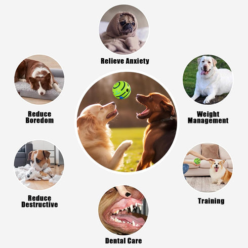 Wobble Giggle Ball for Dogs, Durable Interactive Dog Wobble Ball, Dog Balls with Fun Giggle Sounds When Rolled or Shaken, The Waggle Ball for Dogs...