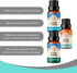GuruNanda Breathe Essential Oil Set (Pack of 3 x 0.34 Fl Oz) - 100% Pure, Natural & Undiluted Diffuser Oils for Aromatherapy - Helps Support Clear...