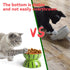 Hamiledyi Ceramic Raised Cat Bowl 5In Elevated Wide Cat Bowl for Food and Water Anti Vomiting Tilted Pet Feeder Dish for Indoor Cats and Small Dog...