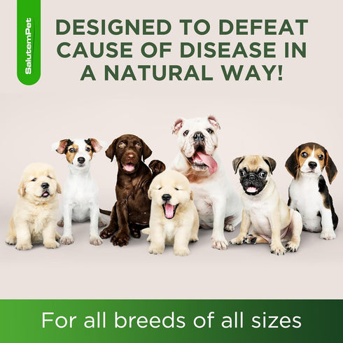 Natural Antibiotics for Dogs | Dog Antibiotics | Supports Dog Allergy Relief | Dog Itch Relief | Dog Allergy Support | Dog Multivitamin | Pet Anti...