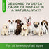 Natural Antibiotics for Dogs | Dog Antibiotics | Supports Dog Allergy Relief | Dog Itch Relief | Dog Allergy Support | Dog Multivitamin | Pet Anti...