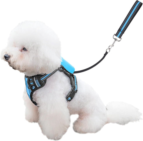 Dog Harness and Leash Set |Dog Vest Harness with 6 ft Multifunction Retractable Dog Leash | with One-Button Control,One-Handed Brake, Tangle Free ...