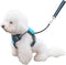 Dog Harness and Leash Set |Dog Vest Harness with 6 ft Multifunction Retractable Dog Leash | with One-Button Control,One-Handed Brake, Tangle Free ...