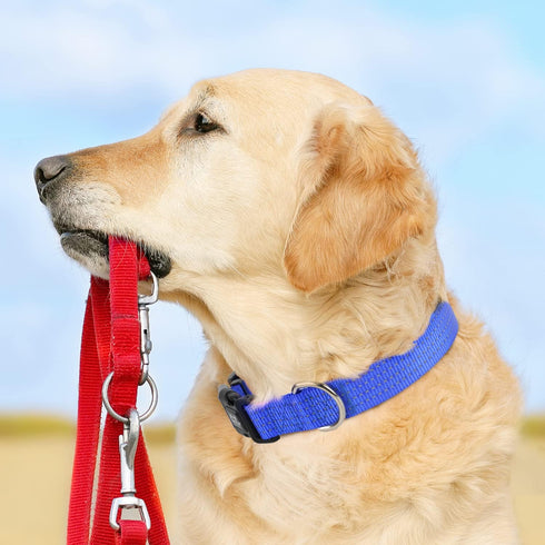 TwoEar Heavy Duty Dog Collar Reflective, Adjustable Nylon Pet Collar with Durable Buckle for Medium Breeds Dog?M, Blue?...