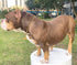 Walking Collar with Dog Tag Design Secure Buckle Cuban Link Chain Collar Heavy Duty Chew Proof for Medium Large Dogs...
