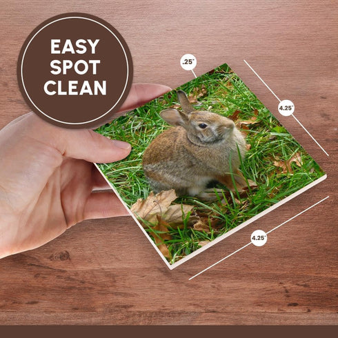 3dRose Bunny Rabbit in Autumn - Ceramic Tile Coasters, Set of 4 (CST_97867_3)...