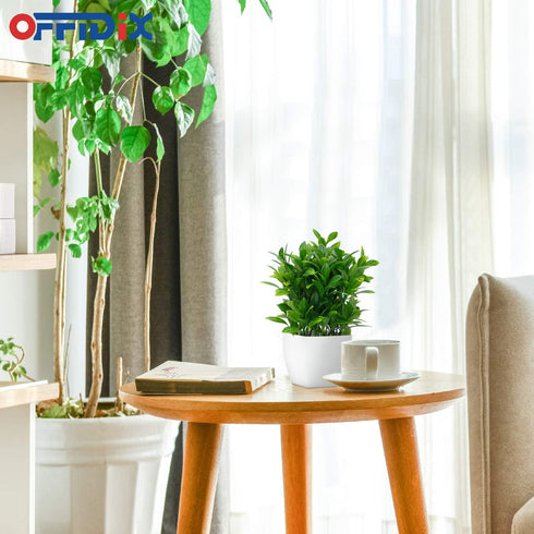 OFFIDIX Artificial Eucalyptus Plants with White Square Vase Small Artificial Tree for Office Desktop Decor Fake Plants for Home and Office Indoor ...