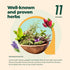 Immunity Booster Decaffeinated Tea Bags, Pure Herbal Immunity Blend - Lemon Balm, Peppermint, Chamomile, Lavender. Immune Support Supplement - 60 ...