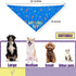 Birthday Boy Dog Bandana, Printed Dog Bandana Pet Scarf Dog Birthday Party Supplies for Dogs Pet Accessories for Dog Lovers Reveal Ideas...