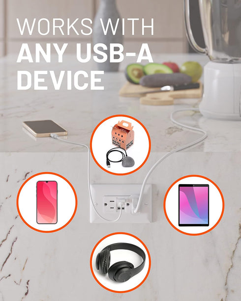 ECHOGEAR USB Outlet - 3.1 Dual USB Power Outlet with 2X AC Outlets & 2X USB-A Ports - Easy Install includes Wall Plate, Hardware & Outlet Receptac...