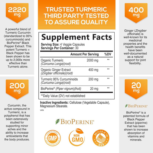 Turmeric Curcumin with BioPerine Black Pepper & Ginger 95% Standardized Curcuminoids 2600mg for Max Absorption Joint & Antioxidant Support, Nature...