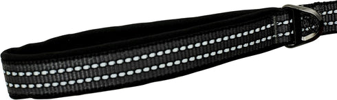 Franklin Pet Supply Nylon Dog Leash – Reflective – Comfort Fit – Neoprene Handle – 6 Foot – Dog Training – Walking – Black...