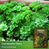 Curled Chervil Seed for Planting - 1 Herb Seed Packet with Instructions to Plant & Grow Aromatic French Herbs in Your Home Herb Garden - Non-GMO H...