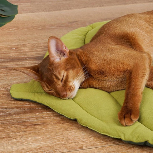 MOJUN Leaf Shaped Pet Mat for Dog Cat, Double Sided Design Cat Puppy Bed Cushion, Super Soft Cotton Portable Camping Sleeping Mat for Cats and Sma...