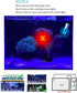 Aquarium Blue Light, 3W Submersible Aquarium Light, Fish Tank Light with Timer, Submersible Waterproof Lamp for Filter Tank Sump Swim Pool...