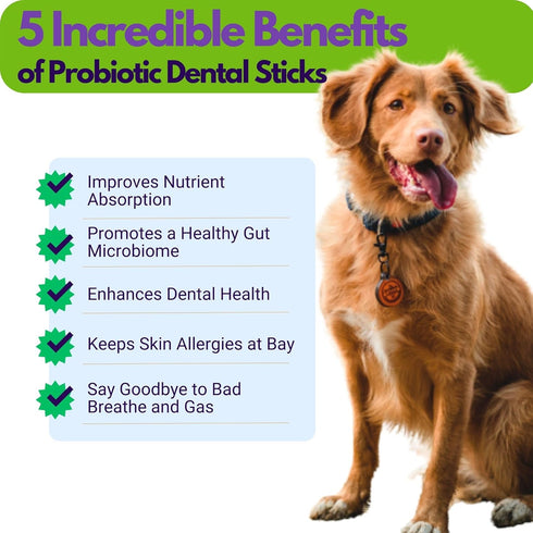 Avery's Holistic Paws Probiotic Dental Stick Treats for Dogs - 23 Peanut Butter Edible Dog Chews, 3 Inches Each - Natural & Organic Dog Chew Stick...