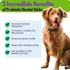 Avery's Holistic Paws Probiotic Dental Stick Treats for Dogs - 23 Peanut Butter Edible Dog Chews, 3 Inches Each - Natural & Organic Dog Chew Stick...