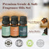 Fragrance Oils, Hotel Collection Diffuser Oil, Fragrance Oil for Candle Making, Soap Scents for Making Soap, Essential Oils Set 6x10ml, Luxury Nig...