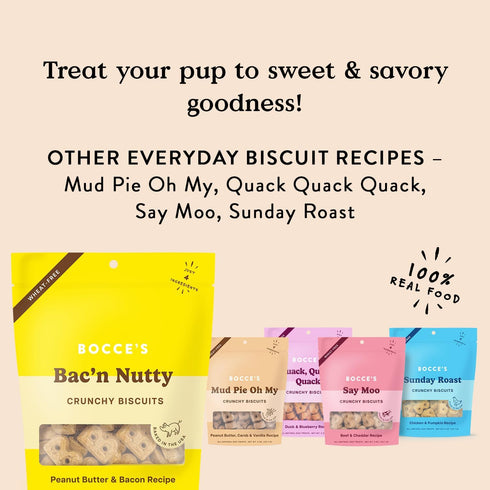 Bocce's Bakery Oven Baked Bac'N Nutty Treats for Dogs, Everyday Wheat-Free Dog Treats, Made with Real Ingredients, Baked in The USA, All-Natural P...