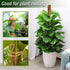 Bendable Moss Pole, 48 Inch Moss Pole for Plants Monstera, Tall Moss Poles for Climbing Plants Indoor, Large Moss Pole Support, Garden Trellis Pla...