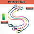 3pcs Slip lead dog leash, no Pull Pet Training Leash for Medium and Small Dogs,two leather stoppers ?5feet?Rainbow?...