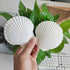 16PCS Sea Shells for Crafts 2.7"~3.5" White Scallop Shells, for Baking Shells Crafts DIY Painting Beaching Wedding Decoration Beach Natural Scallo...