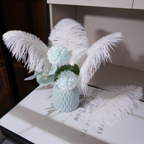 Shekyeon White 16-18inch 40-45cm Ostrich Feather DIY Craft Feather Pack of 10...