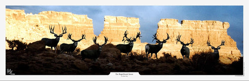 The Magnificent Seven Mule Deer Print by Robert King...