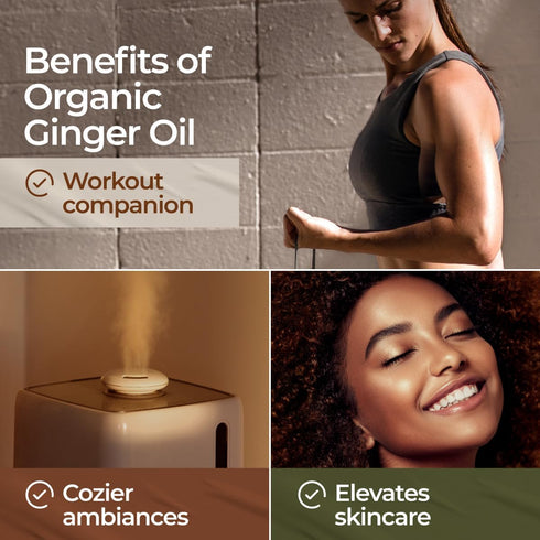 Gya Labs USDA Certified Organic Ginger Essential Oil for Skin - 100% Pure Natural Organic Ginger Oil for Hair & Diffuser, Natural Aromatherapy for...