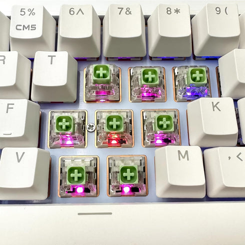 Kailh Box Jade Switches for Mechanical Gaming Keyboard,3-Pin 50gf Clicky/lubed/Dust&Waterproof Switches(10Pcs,Kailh Box Jade)...