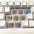 Kailh Box Jade Switches for Mechanical Gaming Keyboard,3-Pin 50gf Clicky/lubed/Dust&Waterproof Switches(10Pcs,Kailh Box Jade)...