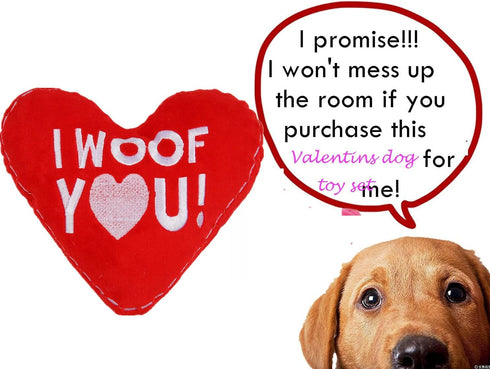 BoomBone Valentines Squeaky Dog Toy, Heart Dog Toy Perfect for Puppy Small Medium Pets Dogs...